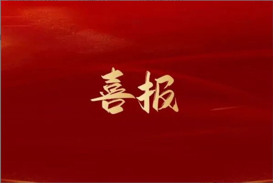 砥砺奋进结硕果 调查监测获殊荣