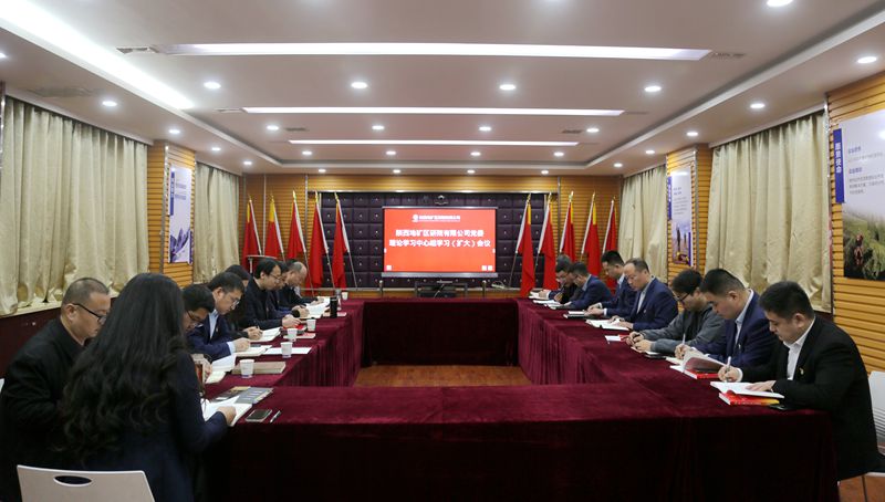 陕西地矿区研院召开党委理论学习中心组学习（扩大）会议